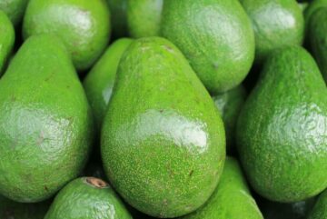 cropped Aguacate