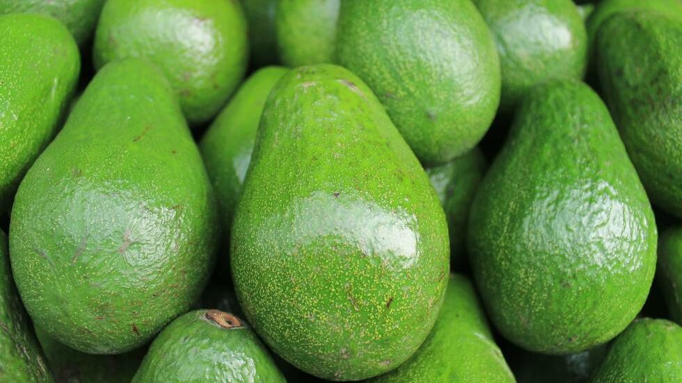 cropped Aguacate