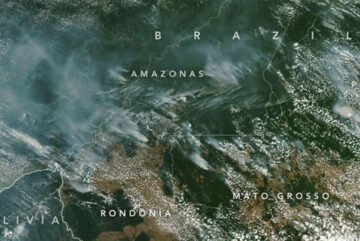 cropped arde el amazonas estan quemando el pulmon del planeta