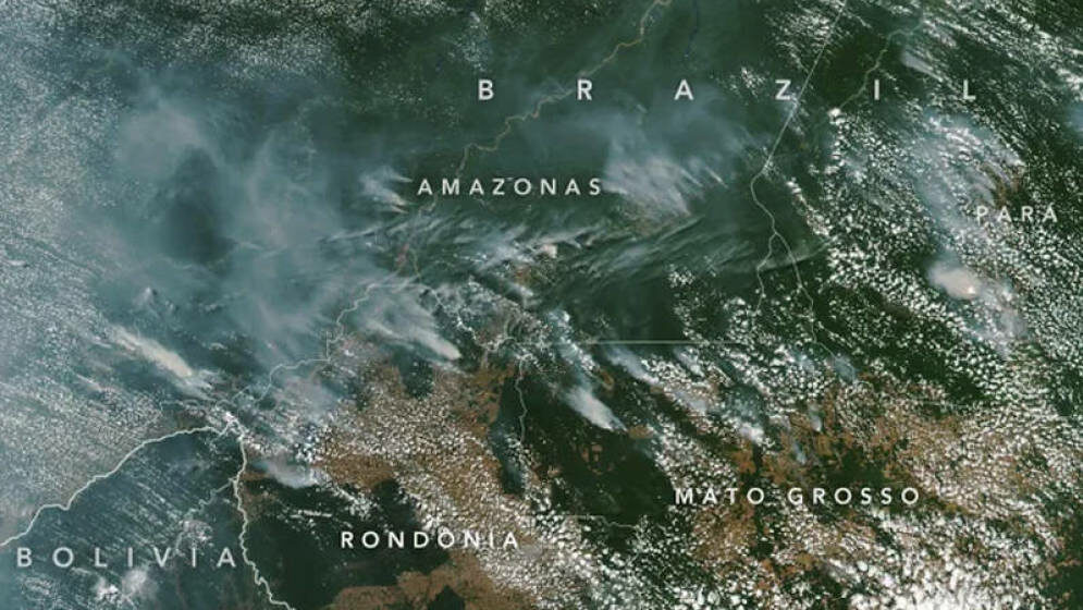 cropped arde el amazonas estan quemando el pulmon del planeta