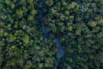 CEMEX ANUNCIA ESTRATEGIA AMBICIOSA PARA ENFRENTAR EL CAMBIO CLIMÁTICO