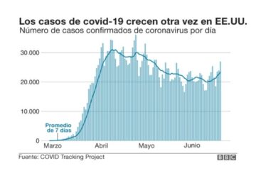 ESTADISTICA