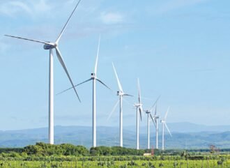 Realizarán licitación para 700 megavatios energía