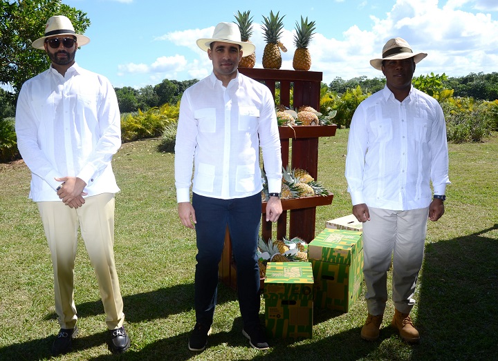 Embajadores dominicanos visitan proyecto de piñas de Monte Plata