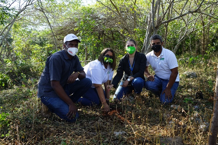 Jardín Botánico realizan Jornada de Reforestación de Roblillo