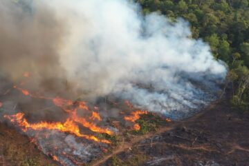 El cambio climático un problema mundial