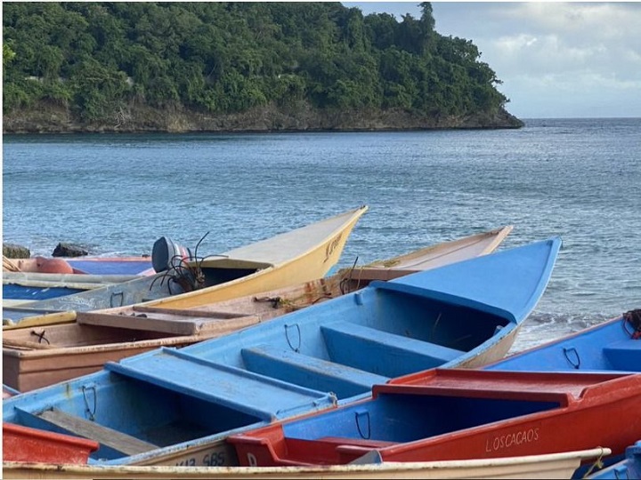Estudio revela discapacidad en pescadores artesanales por malas prácticas de buceo