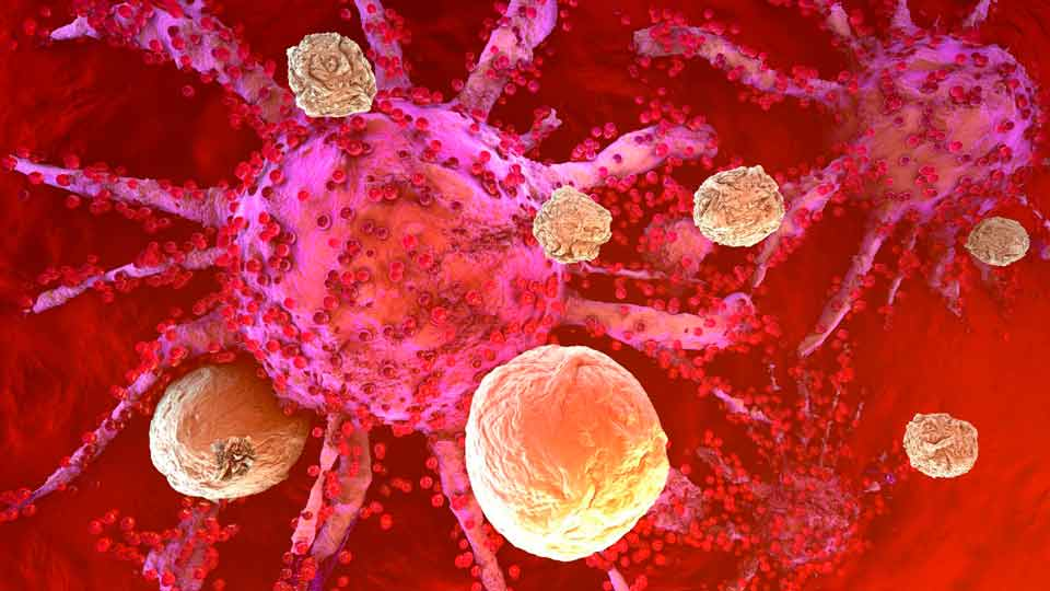 Estudio de Mayo Clinic descubre que el sistema inmunitario responde a tratamiento oncológico con ARN mensajero