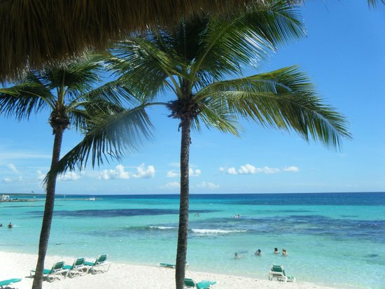 Playa Publica Dominicus