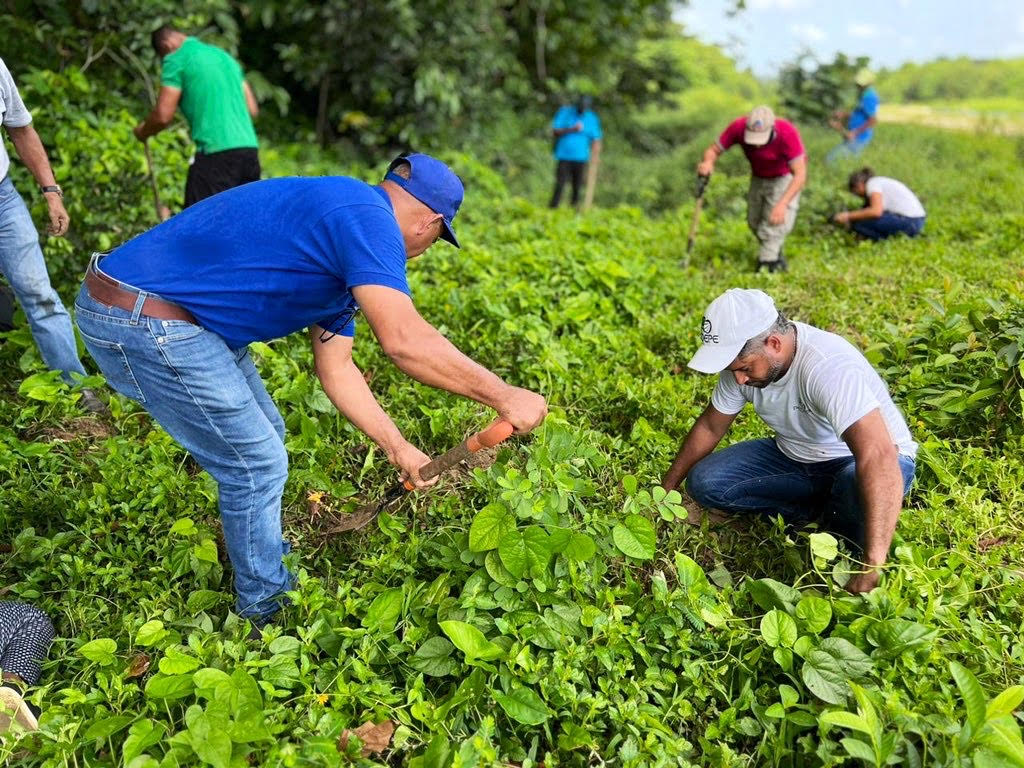 Exitosa Jornada de Reforestación en Jamao al Norte: Más de 800 Plantas de Cabirma y Caoba Plantadas en la Comunidad Las Espinas