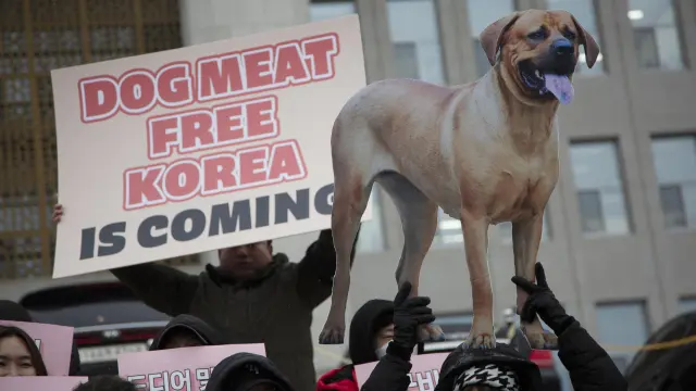 Corea del Sur prohíbe la venta de carne de perro