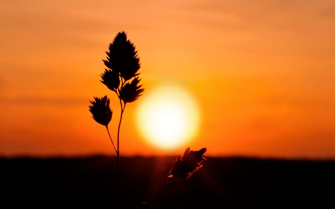 El Día Internacional del Sol