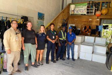 CODOPESCA y Nature Foundation Sint Maarten lideran operación internacional contra el tráfico de anguilas: más de 66,000 ejemplares incautados