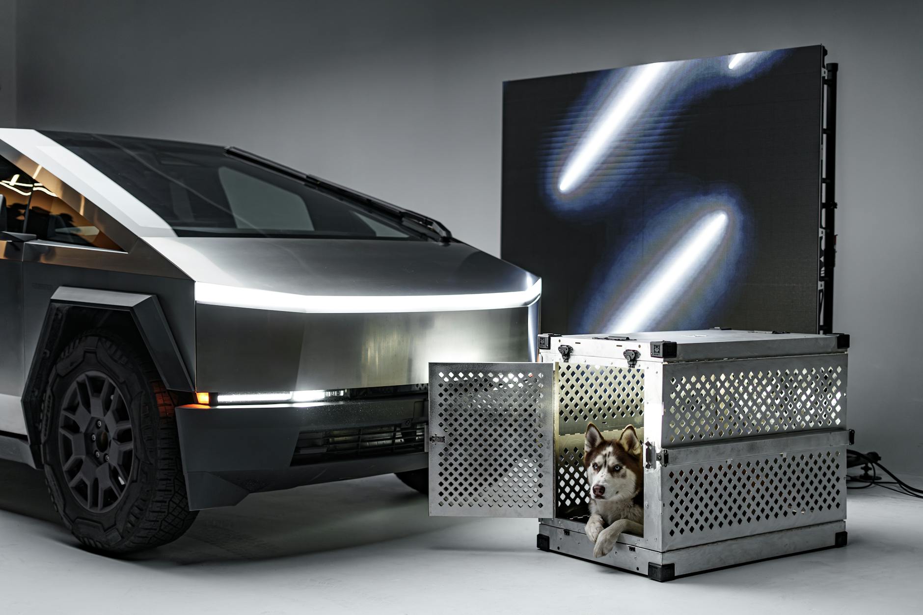 futuristic vehicle and alaskan malamute in crate