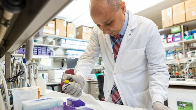 ¿Por qué la terapia CAR-T pierde eficacia? Envejecimiento celular como factor de recurrencia en pacientes con cáncer